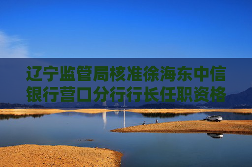 辽宁监管局核准徐海东中信银行营口分行行长任职资格