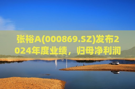 张裕A(000869.SZ)发布2024年度业绩，归母净利润3.05亿元，同比下降42.68%  第1张
