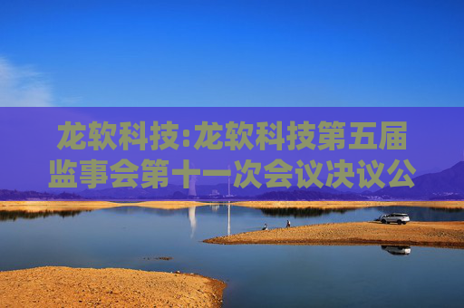 龙软科技:龙软科技第五届监事会第十一次会议决议公告