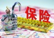 如何购买诉讼保险？东莞公积金查询及车险投保方式是什么？