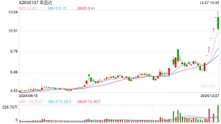 澄清微信小店、机器人概念后，6连板大牛股早盘跌停