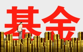 基金净值波动由什么决定？