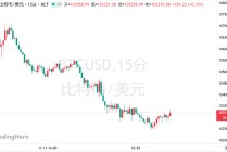 比特币反弹后劲不足？分析师警告：小心“死猫跳”！