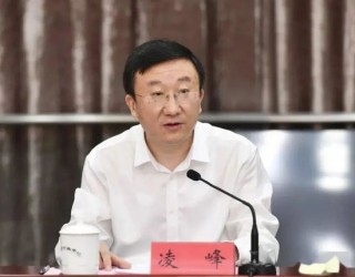 国家审计署披露：江苏证监局原局长凌峰数亿元贪腐案情