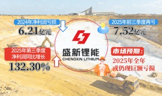 连拉“一”字跌停！盛新锂能股价“过山车”背后，是技术回调还是泡沫破裂？