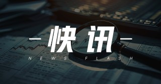 高力集团：2024 年业绩，收入降溢利增