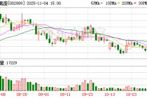 东方嘉盛：无逾期担保事项