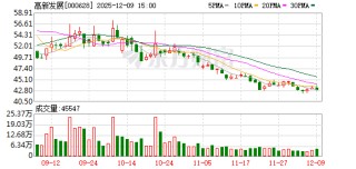 高新发展：公司始终高度重视廉洁防控工作