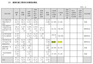 朝阳科技这一募投项目上市不久便终止，多年来进度停滞，又不见落成“转固” ，背后有何隐情？