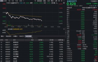 金融科技ETF（159851）下探2%反复磨底，神州信息逼近跌停，资金午后反向净流入！