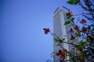 佳兆业集团：延长有关票据同意征求届满期限至12月28日