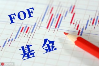 如何探究公募基金投资特定资产的原因？这种原因对投资策略有何影响？