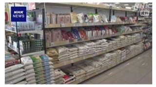 为抑制米价“狂奔” 日本政府正式投放储备米