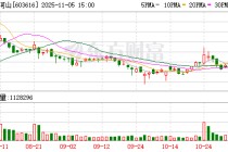 韩建河山11月5日龙虎榜数据