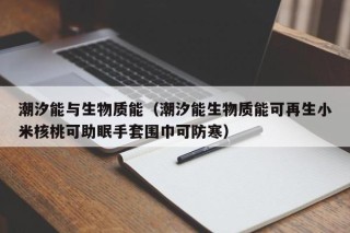 潮汐能与生物质能（潮汐能生物质能可再生小米核桃可助眠手套围巾可防寒）
