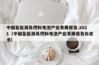 中国氢能源及燃料电池产业发展报告.2021（中国氢能源及燃料电池产业发展报告白皮书）