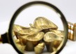 如何把握黄金投资的专业知识？这些知识在实际操作中有哪些应用？