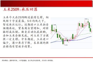 中天期货:原油继续走低 螺纹窄幅震荡