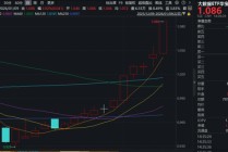 AI应用端缘何大涨？易点天下20CM涨停，股价创历史新高！大数据ETF华宝（516700）暴拉3.9%冲击11连阳！