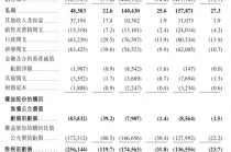 近半收入依赖单一车企，泽景电子陷入亏损泥潭