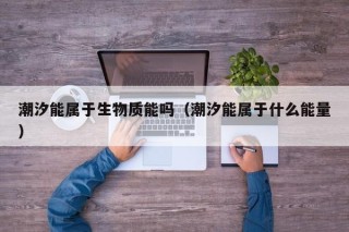 潮汐能属于生物质能吗（潮汐能属于什么能量）