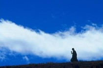 分散投资如何降低投资风险？