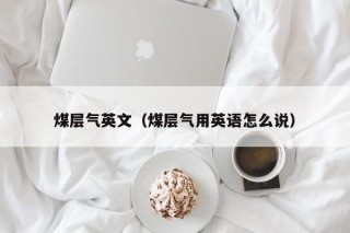 煤层气英文（煤层气用英语怎么说）