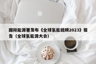 国际能源署发布《全球氢能回顾2023》报告（全球氢能源大会）