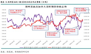 农产（油脂）2025年报：危机并存 , 相机而动