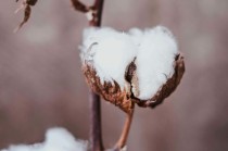 期货交易中的盈亏平衡点确定方法？