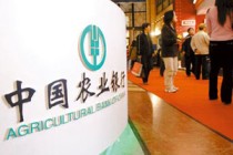 期货交易中MACD指标如何应用？