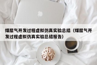煤层气开发过程虚拟仿真实验总结（煤层气开发过程虚拟仿真实验总结报告）