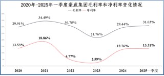 拼出全球第一，豪威集团，一步登天