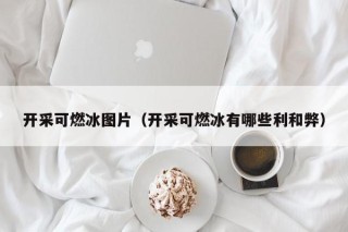 开采可燃冰图片（开采可燃冰有哪些利和弊）