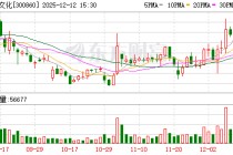 锋尚文化：部分募投项目结项并将节余募集资金永久补充流动资金及部分募投项目延期