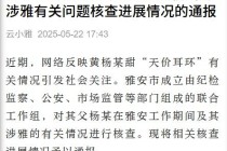黄杨某甜父亲被立案调查！官方通报“天价耳环”有关情况