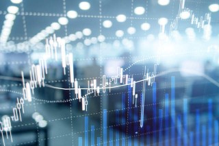 期货品种的选择有哪些依据？这些依据如何适应市场变化？