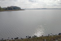 水库淤泥卖出6000万元 “点泥成金”背后的价值密码