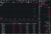 军贸特大订单点火，千亿中航沈飞涨停，国防军工ETF劲涨超2%！主力资金大举抢筹