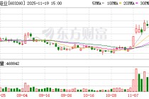 合盛硅业盘中涨停 公司回应