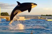 2025年Q3人身险行业偿付能力全景透视：九成险企承压背后