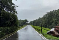 立案！光环下的清越科技，藏着多少“秘密”？