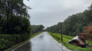 立案！光环下的清越科技，藏着多少“秘密”？