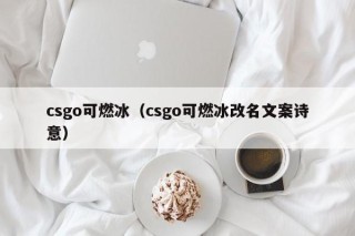 csgo可燃冰（csgo可燃冰改名文案诗意）