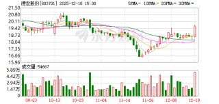德宏股份：公司近两年境外收入总体占比较小
