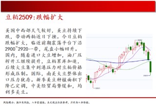 中天期货:原油继续走低 螺纹窄幅震荡