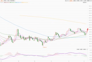 美元小幅受支撑 欧元日元明显回调！