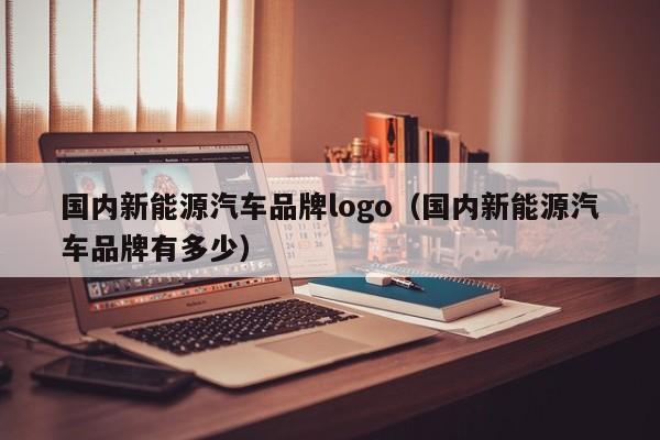 国内新能源汽车品牌logo（国内新能源汽车品牌有多少）  第1张