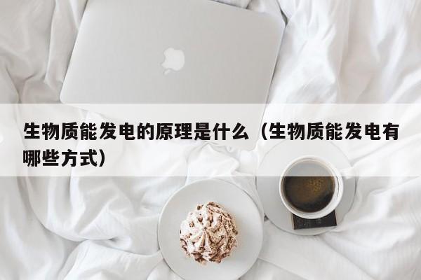 生物质能发电的原理是什么（生物质能发电有哪些方式）  第1张