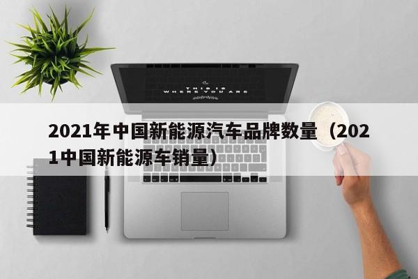 2021年中国新能源汽车品牌数量（2021中国新能源车销量）  第1张